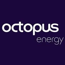 Octopus Energy referral link £50 credit. No code or voucher required